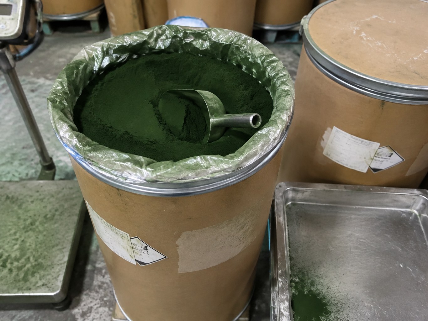 Chlorella