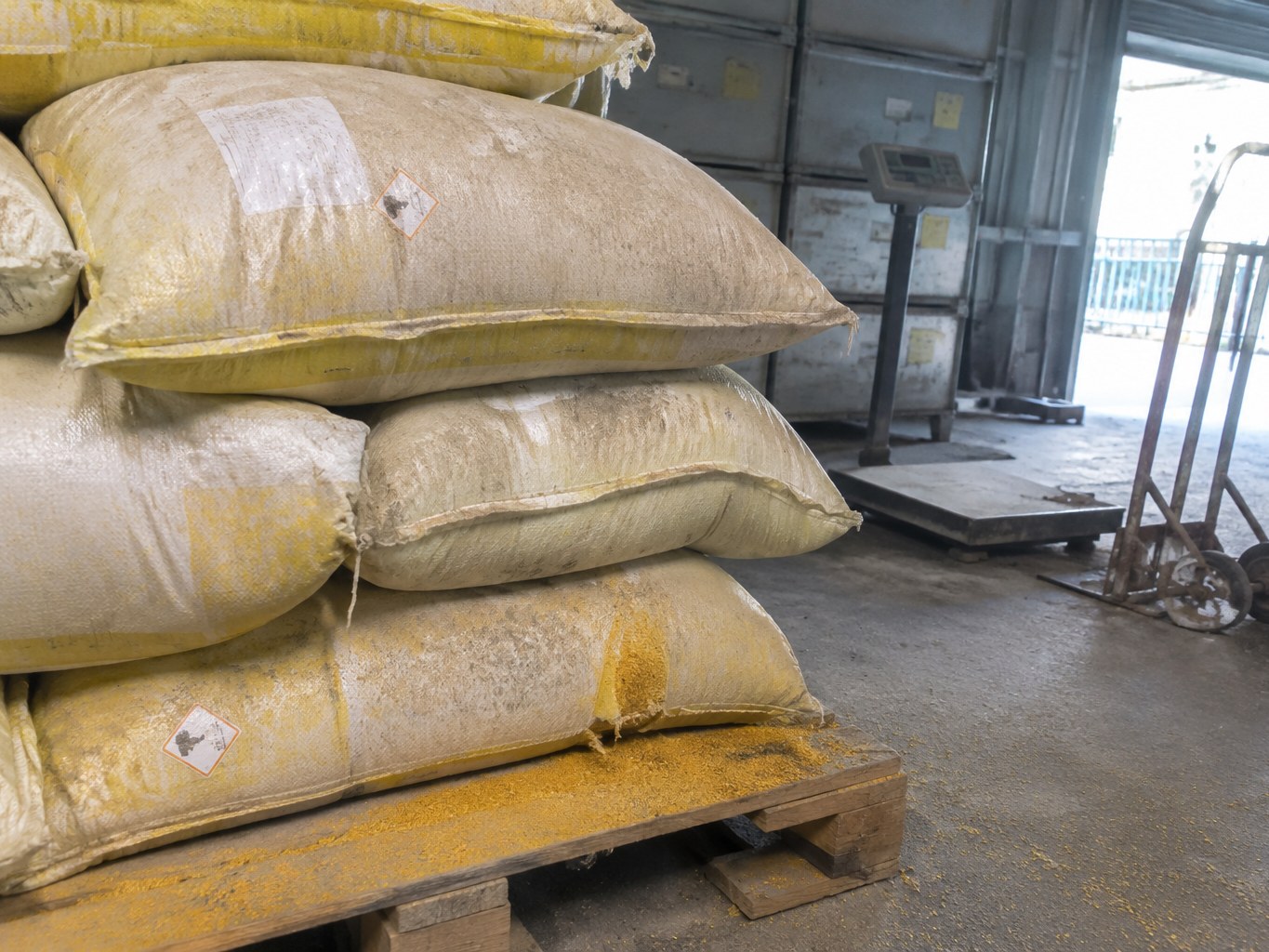 Corn Gluten Meal