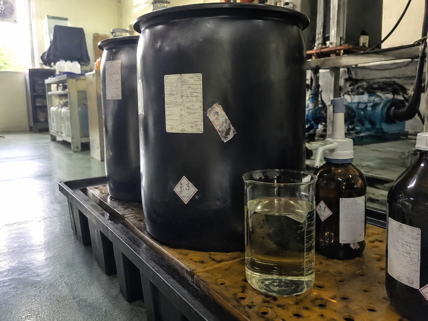 Docosahexaenoic Acid