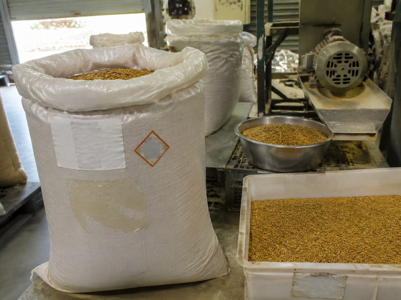 Fenugreek Seed