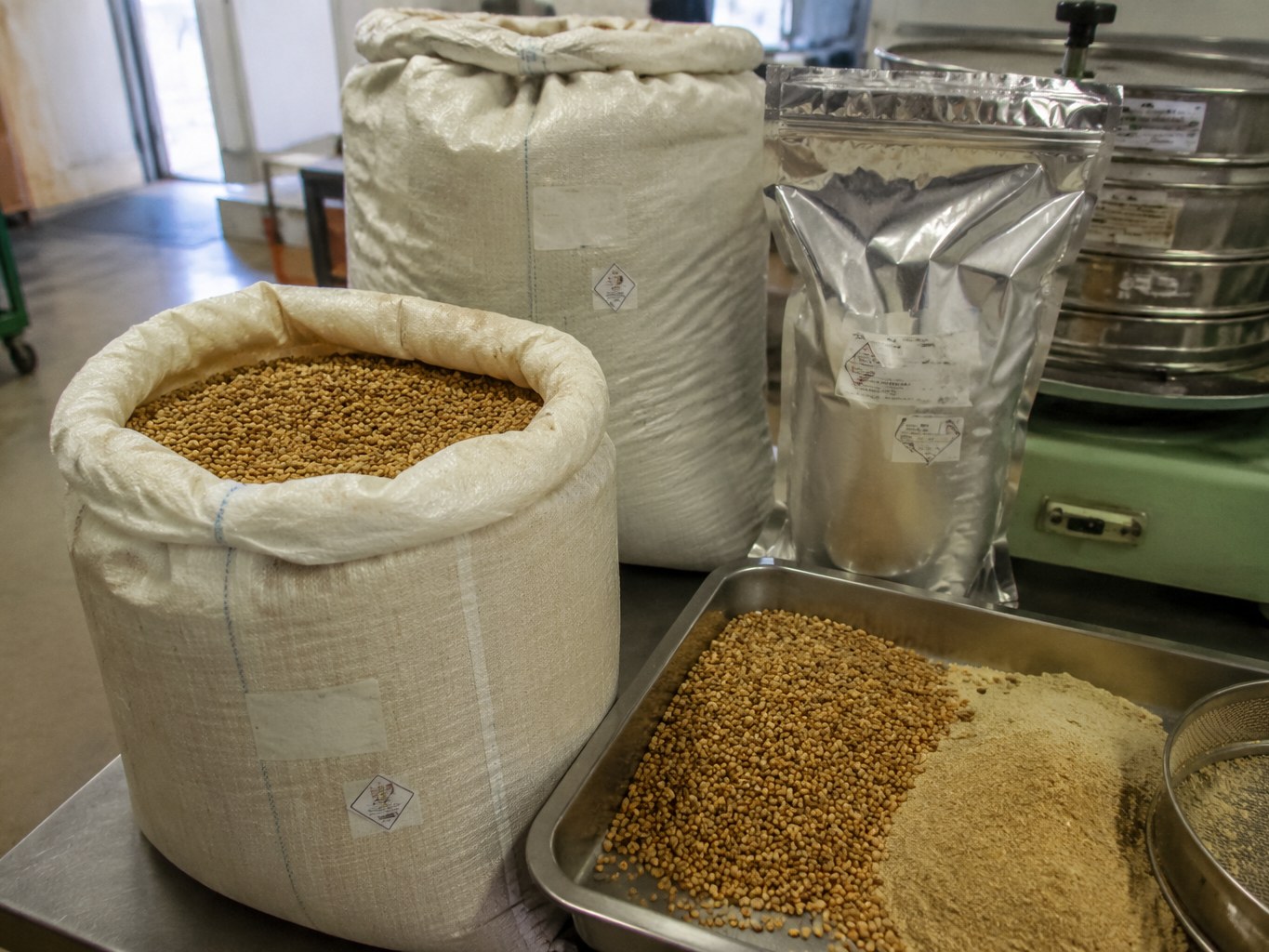 Fenugreek
