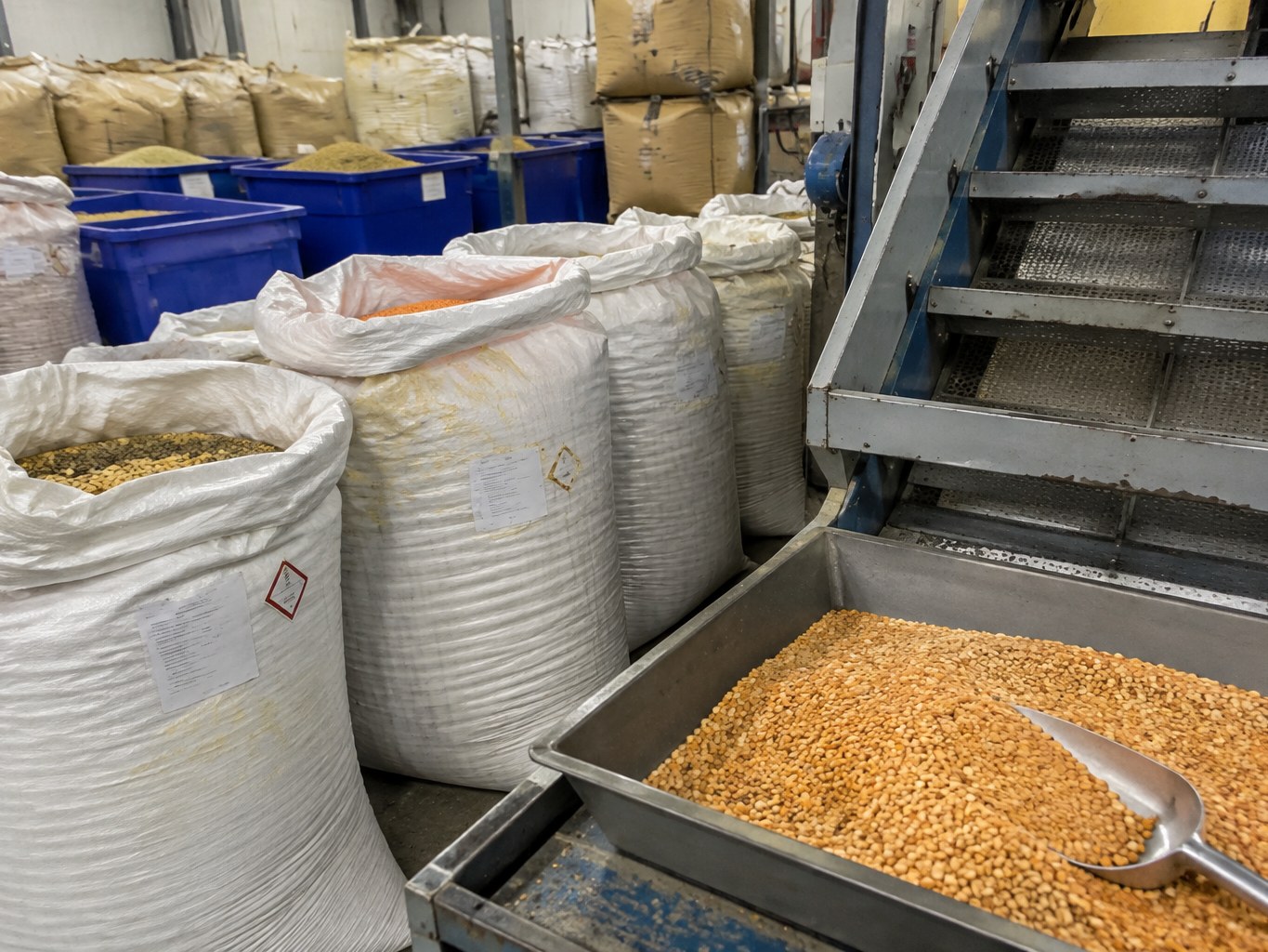 Lentils