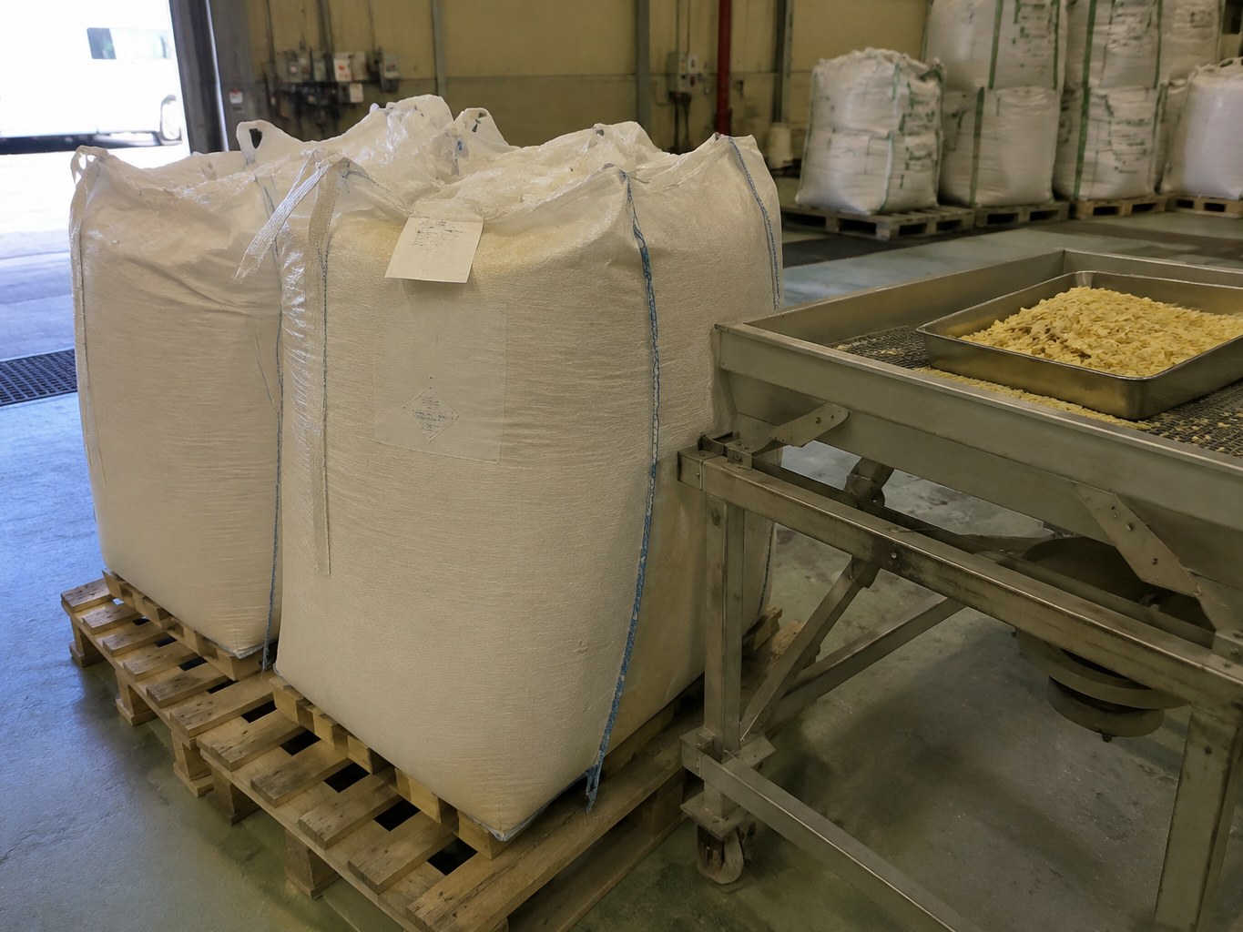 Maize Germ