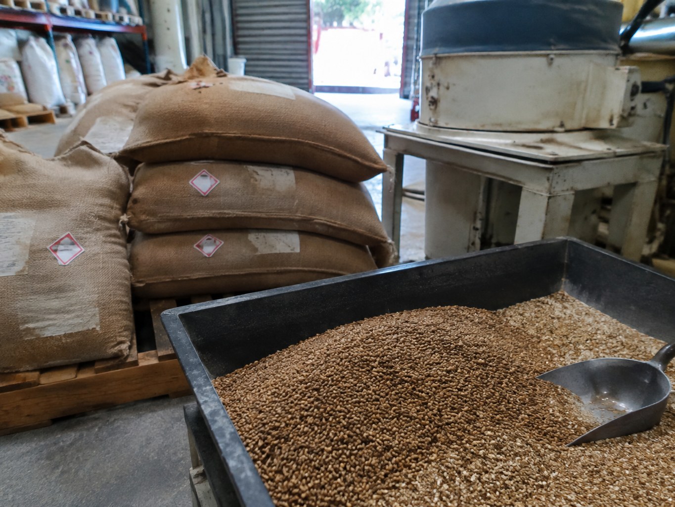 MALT