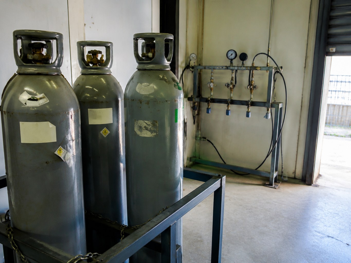 Nitric Oxide