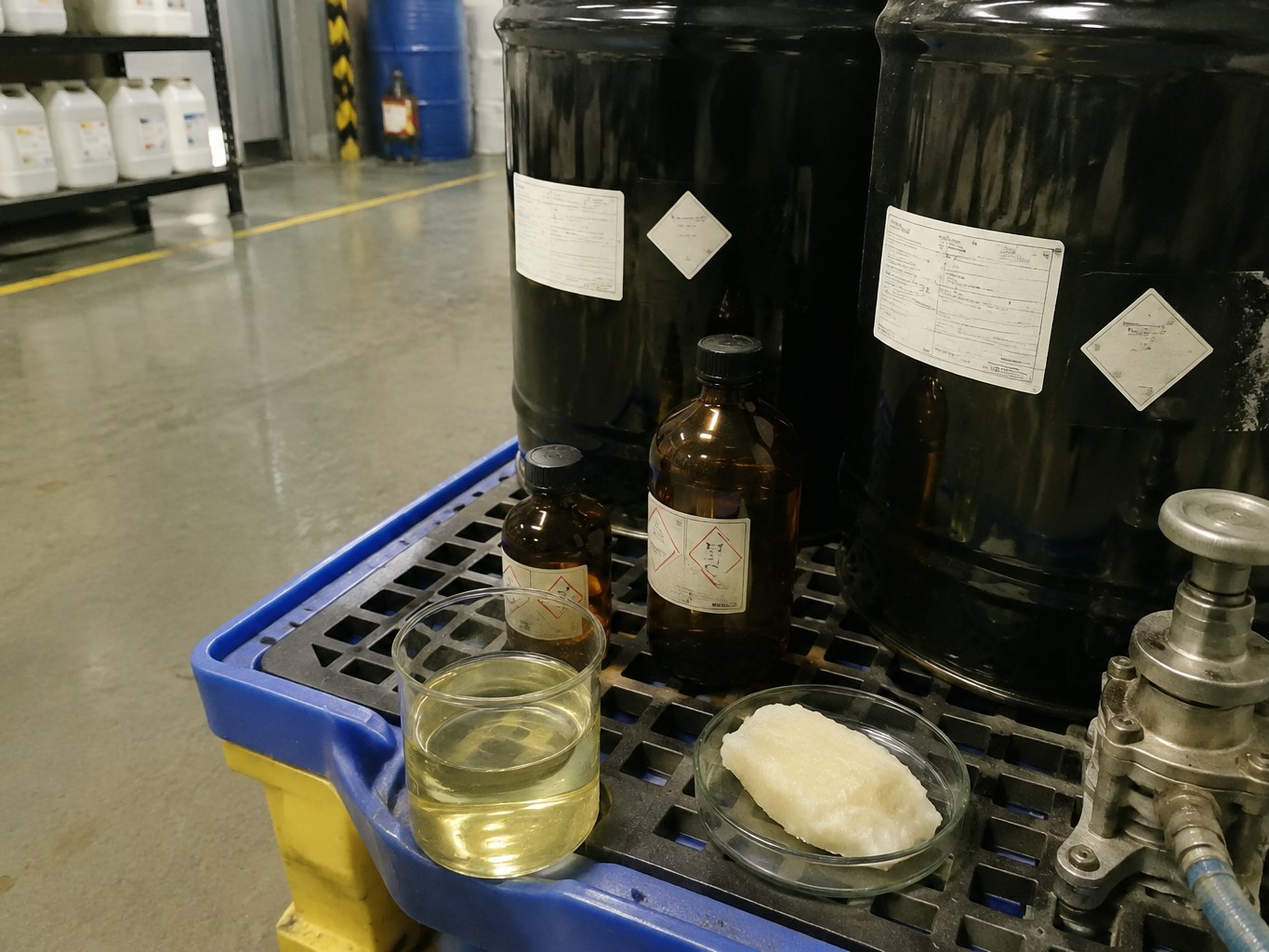 Palmitoleic Acid