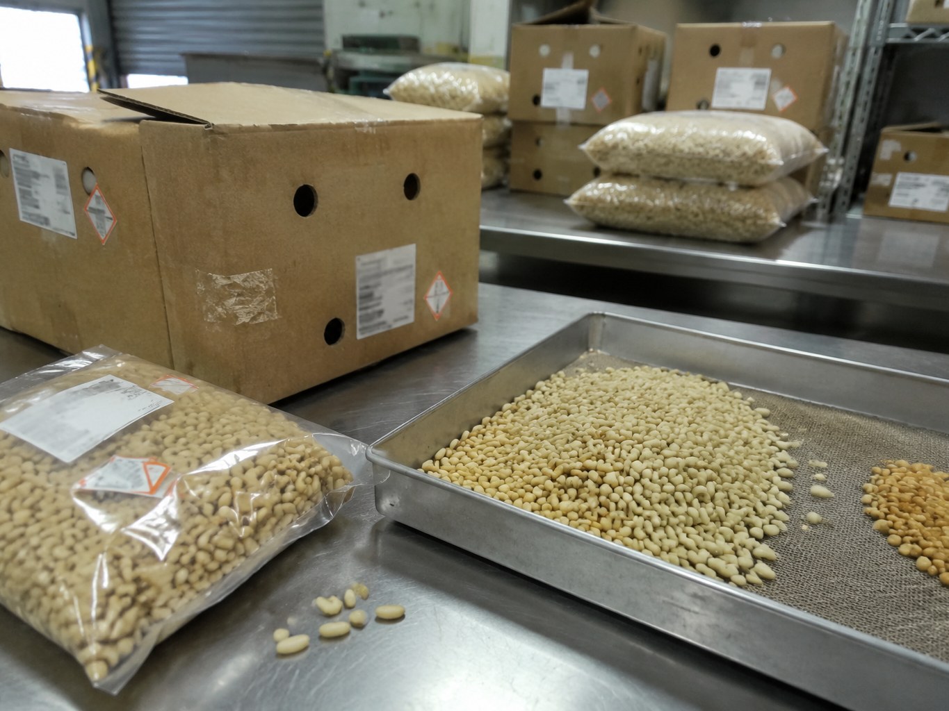 Pine Nut
