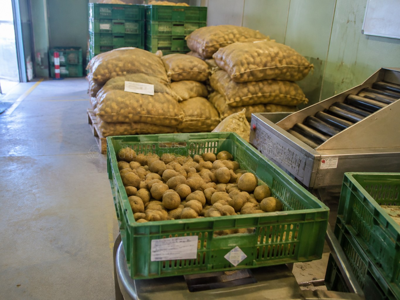 Potatoes