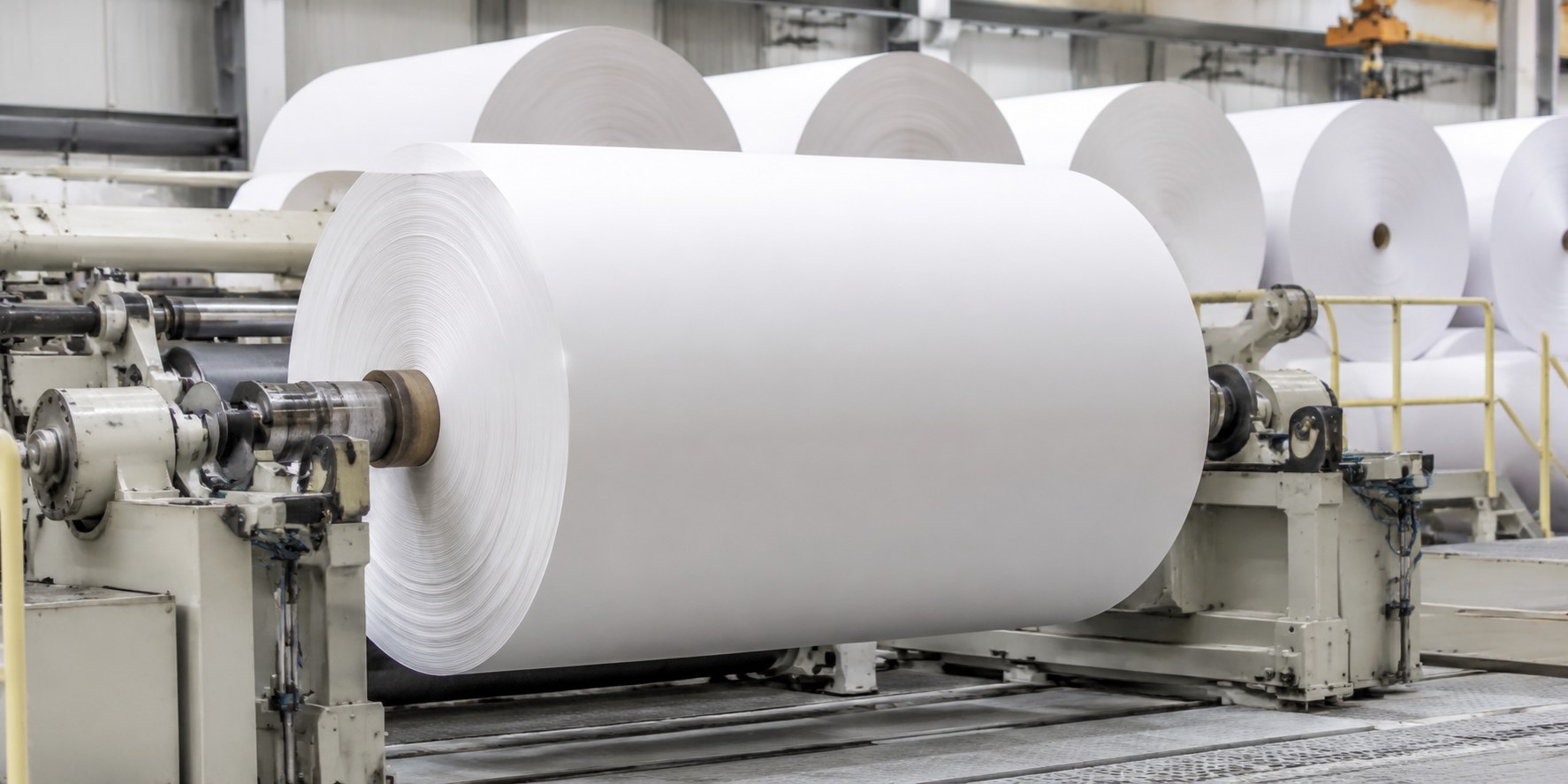 Pulp & Paper