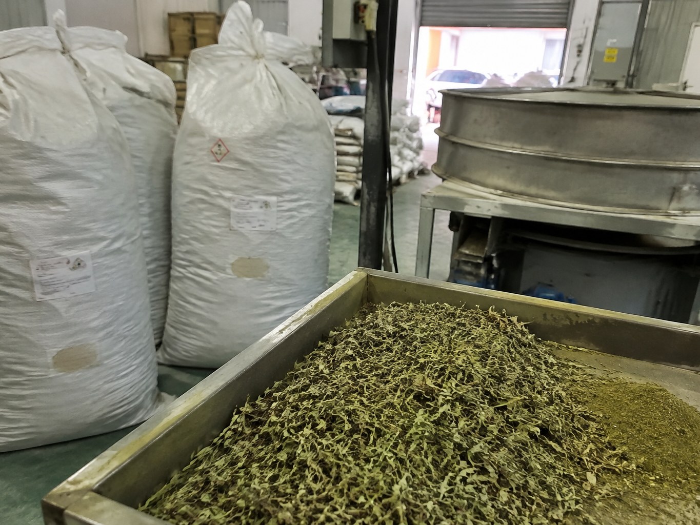 Thyme