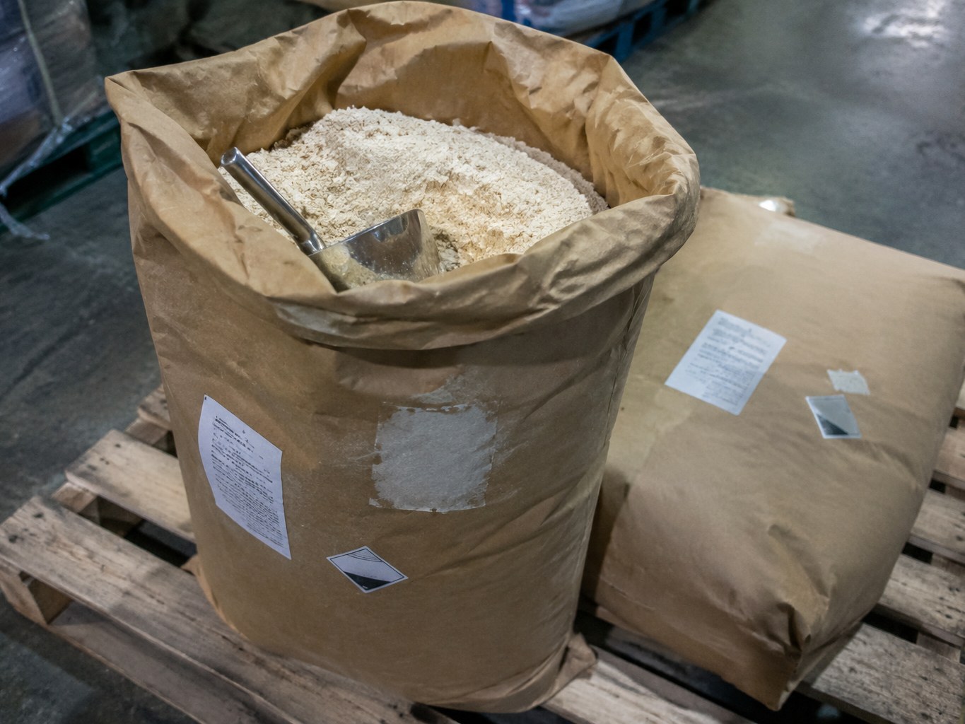 Wheat Gluten