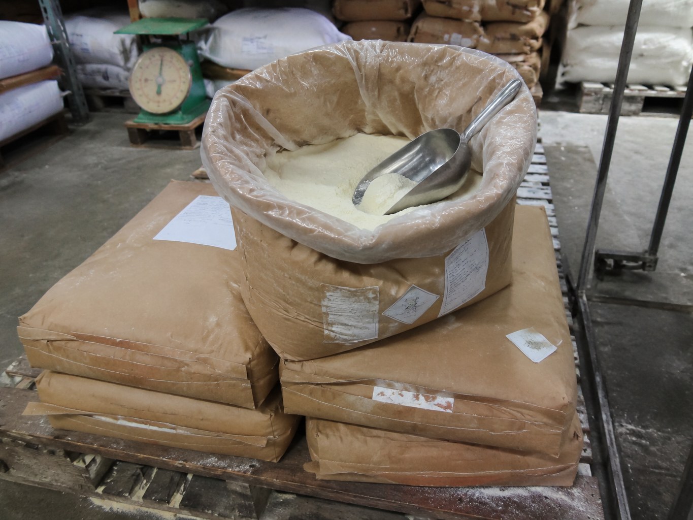 Whey Powder