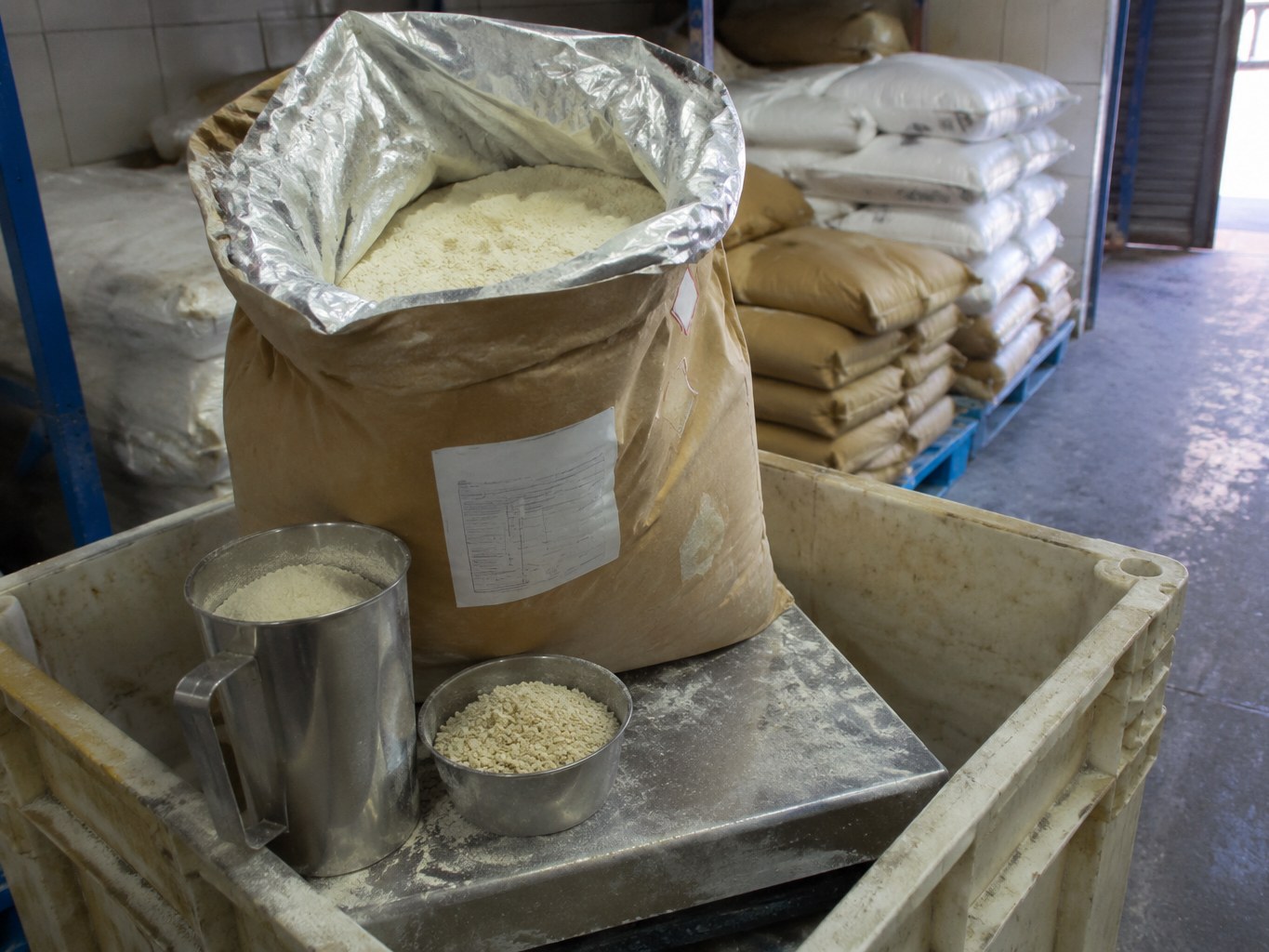 Whey Protein Concentrate