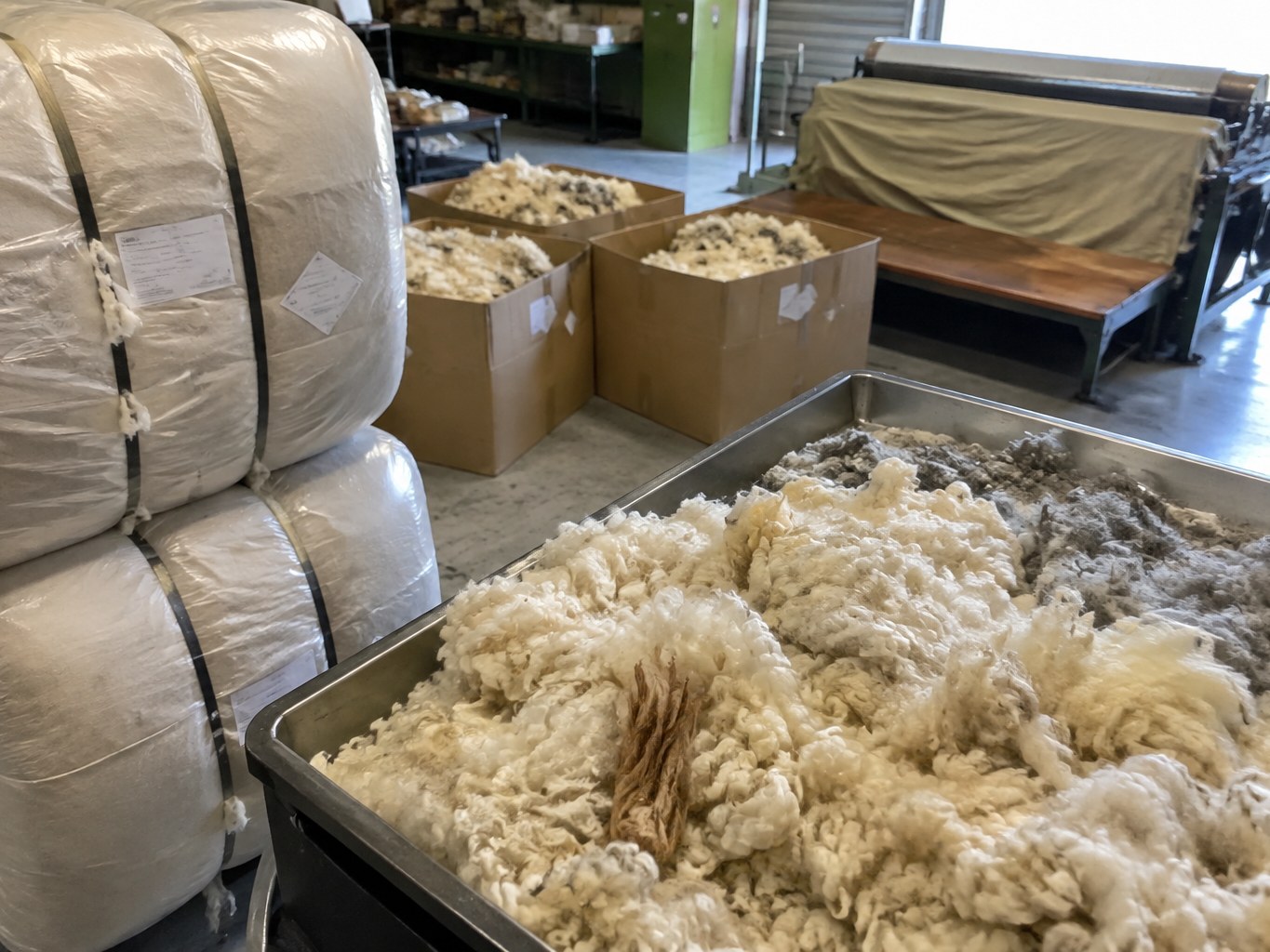 Wool